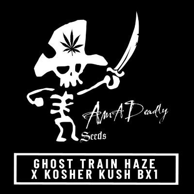 Kosher Ghost Train