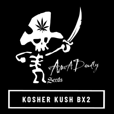 Kosher Kush BX2