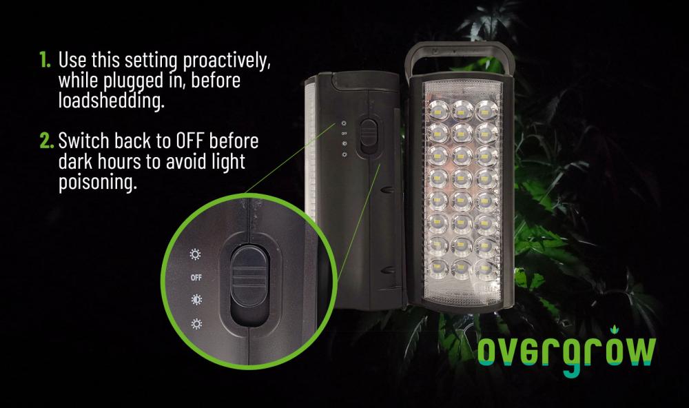A simple rechargeable light and a bit of cognisance is all you need to protect your precious marijuana plants from the perils of load shedding in South Africa.